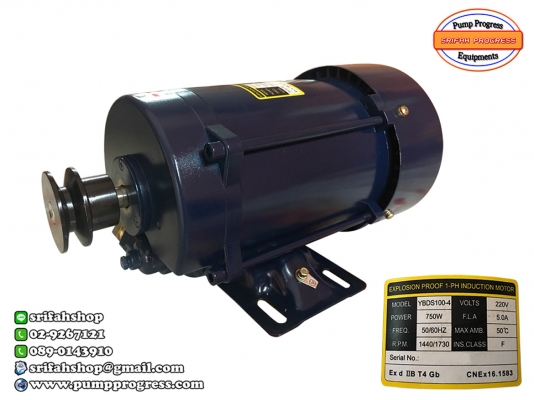 มอเตอร์ตู้จ่ายน้ำมัน 1 HP มอเตอร์ชนิดกันระเบิด มอเตอร์ไฟฟ้า มอเตอร์ปั๊ม มอเตอร์สำหรับอุปกรณ์งานน้ำมัน