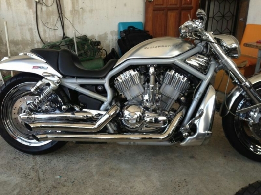 ขาย HARLEY V-ROD. 2006 ขาย HARLEY V-ROD. 2006