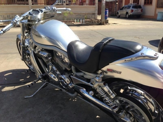 ขาย HARLEY V-ROD. 2006 ขาย HARLEY V-ROD. 2006