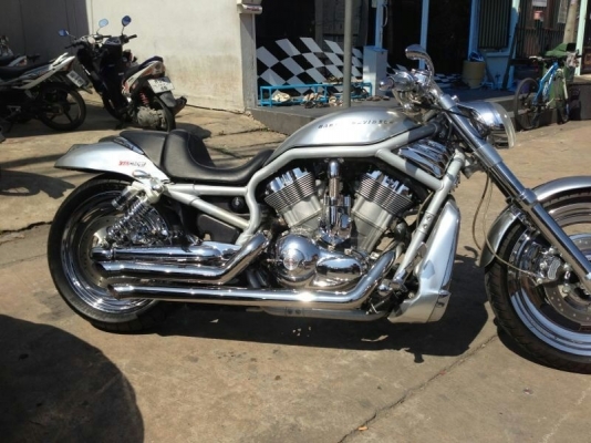 ขาย HARLEY V-ROD. 2006 ขาย HARLEY V-ROD. 2006