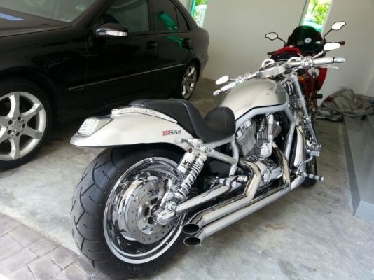 ขาย HARLEY V-ROD. 2006 ขาย HARLEY V-ROD. 2006