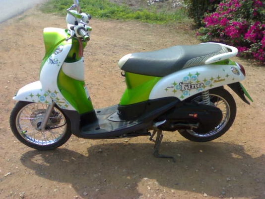 ฟีโนไมล์แยก  ปี54 ขายขาดทุน