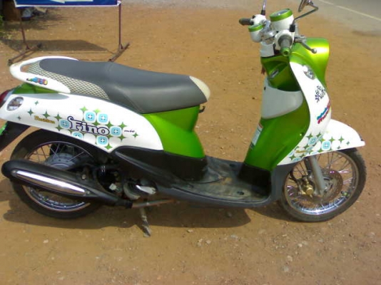 ฟีโนไมล์แยก  ปี54 ขายขาดทุน