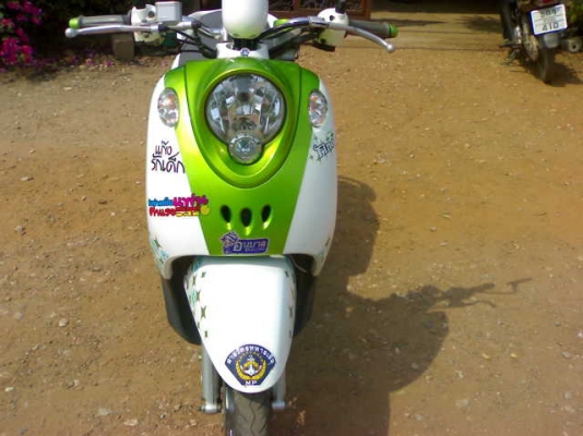 ฟีโนไมล์แยก  ปี54 ขายขาดทุน