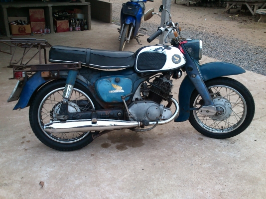 ขาย หมูc95  เดิมๆ แท้ๆ ราคา 55000 ทะเบียนโอน 084-6492825