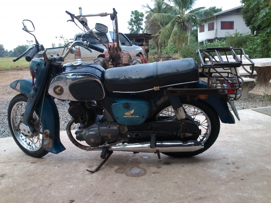 ขาย หมูc95  เดิมๆ แท้ๆ ราคา 55000 ทะเบียนโอน 084-6492825