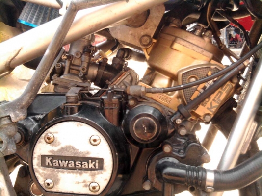 ขออนุญาติขาย  KAWASAKI ZX150  ตัวเล็ก สีแดงม่วง