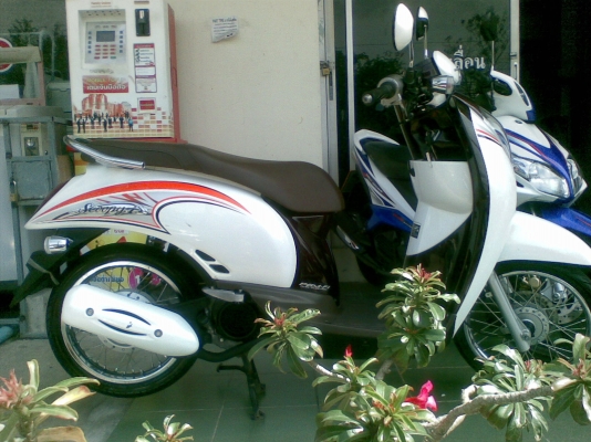 Scoopy – i ปี 2555 ลายคลาสสิค รถ 10 เดือน สวยวิ๊ง ขายถูก Scoopy – i ปี 2555 ลายคลาสสิค รถ 10 เดือน สวยวิ๊ง ขายถูก