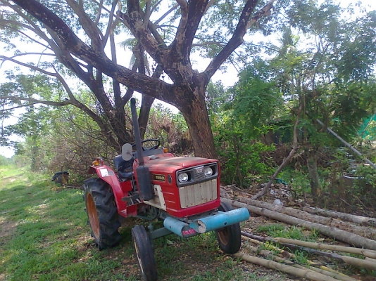 ขายด่วน..รถไถ YANMAR YM1601 ระบบการทำงานดี ครบ รถสวยทั้งคัน พร้อมใช้งานมากๆ แถมฟรีผาน 4 และจอบหมุนอย่างดี.