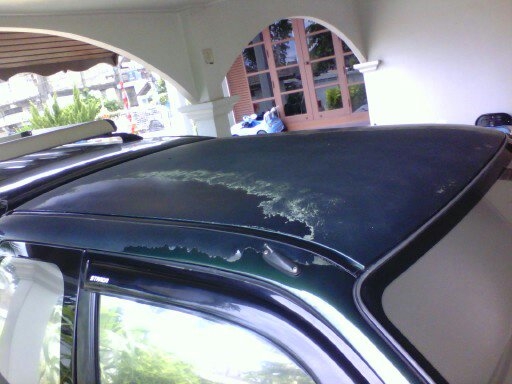 ขาย MITSUBISHI STRADA วางเครื่อง J ติดแก๊สLPG ขาย MITSUBISHI STRADA วางเครื่อง J ติดแก๊สLPG