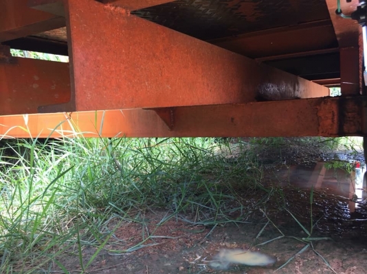 ขาย สาลี่ ขนรถเกี่ยวใหญ่   เหล็กคานหน้า 6" บรรทุก 7-8 ตัน  กว้าง 2.70  ยาว 6 เมตร  ราคา 68,000  091-0206555