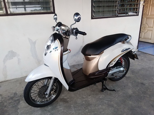 ขายHonda Scoopy-i ปี53 รถเดิมสภาพดี