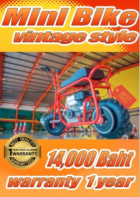 Mini Bike ขี่ชิวๆ สไตล์วินเทจ บิดอย่างเดียว ไม่มีเกียร์