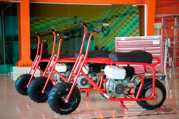 Mini Bike ขี่ชิวๆ สไตล์วินเทจ บิดอย่างเดียว ไม่มีเกียร์