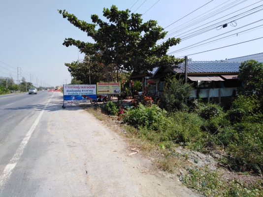 ขายที่ดินโฉนดเลขที่29707 เนื้อที่ดิน1งาน33ตารางวา ติดถนนใหญ่อ่างทอง-โพธิ์พยาสุรรณบุรี สายหลัก