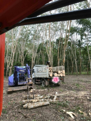 ขายรถแบคโฮ KOMATSU PC45 หัวคีปพร้อมบุ้งกี๋ ราคา 280000 ขายรถแบคโฮ KOMATSU PC45 หัวคีปพร้อมบุ้งกี๋ ราคา 280000