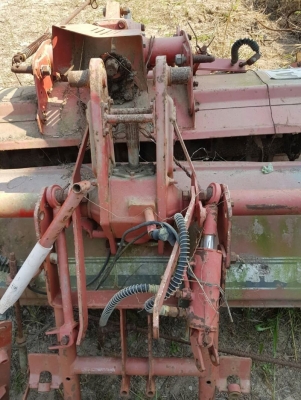 โลตาลี้