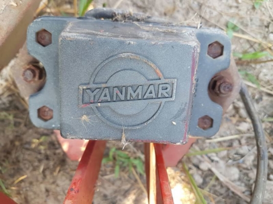 โลตาลี้