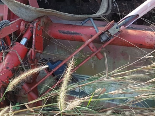 โลตาลี้