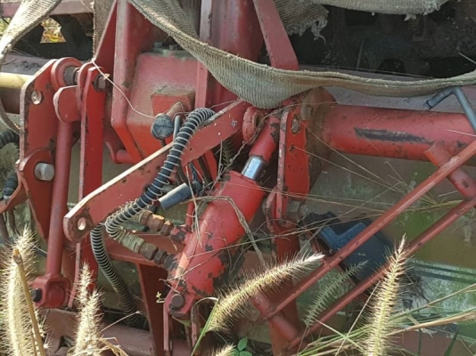 โลตาลี้