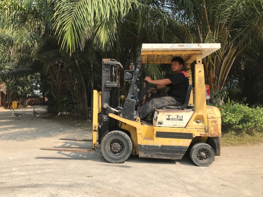 (ลดกระหน่ำ) ขายFORKLIFT TCM FG15N17(1.5ตัน) สวยเดิมจากญี่ปุ่น ยังไม่เคยใช้ในไทย 99,000เท่านั้น!!