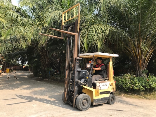 (ลดกระหน่ำ) ขายFORKLIFT TCM FG15N17(1.5ตัน) สวยเดิมจากญี่ปุ่น ยังไม่เคยใช้ในไทย 99,000เท่านั้น!!