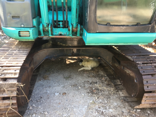 Kobelco sk135sr เก่านอก yn09 Kobelco sk135sr เก่านอก yn09