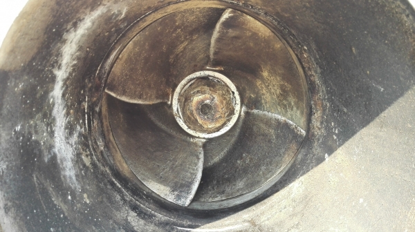 #หัวปั้มน้ำสแตนเลสญี่ปุ่น Ebara 10&rdquo;- 10&rdquo; ใบคายดูดทรายเลนของข้นสิ่งปฎิกูล