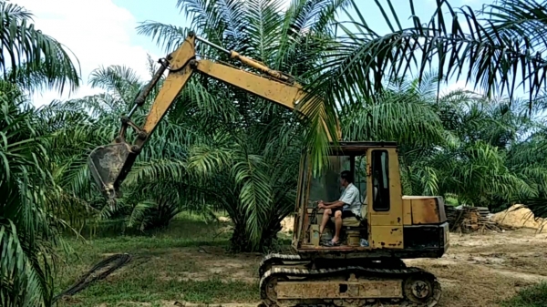 มี VDO ให้ชม.KOMATSU PC60-5 ราคา 210000 มี VDO ให้ชม.KOMATSU PC60-5 ราคา 210000