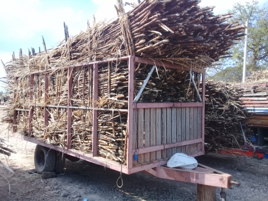 ขายสาลี่ลากอ้อย สภาพพร้อมใช้งาน