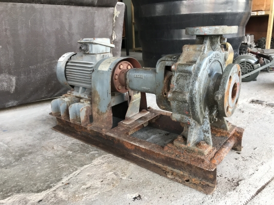 ขายปั๊มน้ำหอยโข่ง Ebara 50x40FSH ใบพัดทองเหลือง ขนาดเข้า 2นิ้ว ออก 1.5นิ้ว พร้อมมอเตอร์ 3HP. 380V สภาพดีเดิมๆ หมุนนิ่ม พร้อมใช้งาน