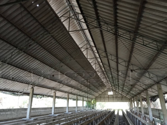ขายด่วน โครงหลังคาเหล็กแป้ป กาวเวอน์ไน ขายเป็นห้อง กว้าง 12เมตร ยาว4เมตร ต่อช่องเสา ห้องละ 13000 พร้อมกะเบื้อง ขึ้นรถให้ฟรี เอากี่ห้องก็ได้มีเป็น 100 ห้องคับ