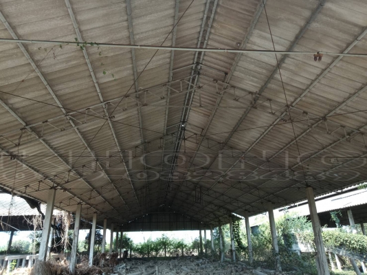 ขายด่วน โครงหลังคาเหล็กแป้ป กาวเวอน์ไน ขายเป็นห้อง กว้าง 12เมตร ยาว4เมตร ต่อช่องเสา ห้องละ 13000 พร้อมกะเบื้อง ขึ้นรถให้ฟรี เอากี่ห้องก็ได้มีเป็น 100 ห้องคับ