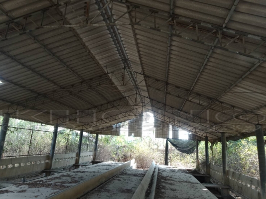 ขายด่วน โครงหลังคาเหล็กแป้ป กาวเวอน์ไน ขายเป็นห้อง กว้าง 12เมตร ยาว4เมตร ต่อช่องเสา ห้องละ 13000 พร้อมกะเบื้อง ขึ้นรถให้ฟรี เอากี่ห้องก็ได้มีเป็น 100 ห้องคับ