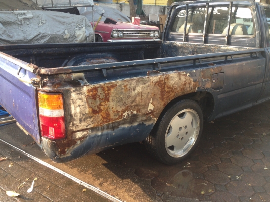 ลูกกะบะ      ไมตี้เอ็กหัวเดียว พอสวย