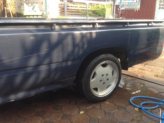 ลูกกะบะ      ไมตี้เอ็กหัวเดียว พอสวย