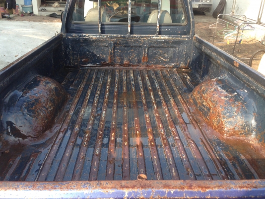 ลูกกะบะ      ไมตี้เอ็กหัวเดียว พอสวย