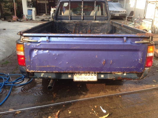 ลูกกะบะ      ไมตี้เอ็กหัวเดียว พอสวย