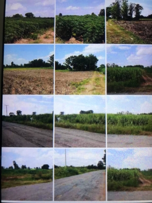 ขายที่ดิน83ไร่กว่า ที่ดินน.ส.3ติดถนนลาดยางไฟฟ้ามีครับ ไร่ละ100000บาท
