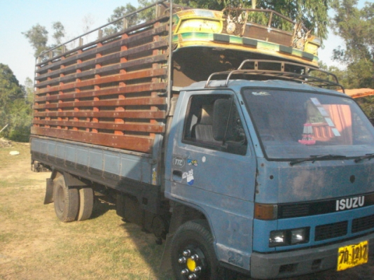 ขายด่วน ISUZU NPR 115 แรงม้า รถห้างแท้ ยาว 5 เมตร