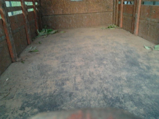 ***ขายแล้วครับขอบคุณ Truck2hand ขาย 6ล้อ ISUZU KS110 ช่วงล่างใหญ่ๆ เครื่องเดิม4BD1 110 ฝาขาว ทนอึด แรงดี แห้งๆไม่เยิ้ม ยอดนิยม ช่วงล่างแน่นๆ ใหญ่ๆ คานหน้าF เฟืองท้ายFUSO ทนทาน คัสซีสวย ไม่ผุไม่บวม กระบะ4.30ม.พื้นเหล็กคอกไม้สวยๆ พื้นไม่มีผุ ยางเปลี่ยนมาใหม