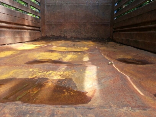 รถอีซูซุ 6 ล้อดั้ม NQR 150 แรงม้า ปี 48  ( ขาย 3 คัน )  สนใจติดต่อ  081 - 6079515