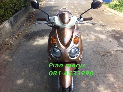 ขายjelato สีน้ำตาลทอง ปี2555 ขายjelato สีน้ำตาลทอง ปี2555