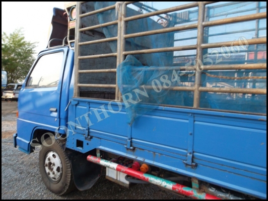 ขายด่วน รถบรรทุก 6 ล้อ ISUZU NPR 110 แรง ยาว 5 เมตร คอกสูง รถสวยพร้อมใช้งาน ราคาสุดคุ้ม ขายด่วน รถบรรทุก 6 ล้อ ISUZU NPR 110 แรง ยาว 5 เมตร คอกสูง รถสวยพร้อมใช้งาน ราคาสุดคุ้ม