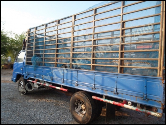 ขายด่วน รถบรรทุก 6 ล้อ ISUZU NPR 110 แรง ยาว 5 เมตร คอกสูง รถสวยพร้อมใช้งาน ราคาสุดคุ้ม ขายด่วน รถบรรทุก 6 ล้อ ISUZU NPR 110 แรง ยาว 5 เมตร คอกสูง รถสวยพร้อมใช้งาน ราคาสุดคุ้ม