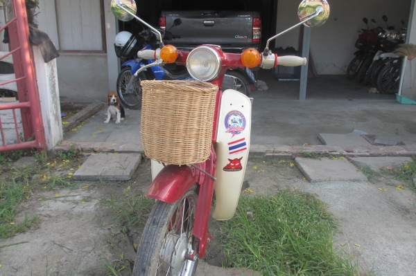 ขาย C90 ถังแยกมีเล่มทะเบียนเลขเครื่องโคลงตรงกัน (ราคานี้รวมจัดส่งทั่วไทย) ขาย C90 ถังแยกมีเล่มทะเบียนเลขเครื่องโคลงตรงกัน (ราคานี้รวมจัดส่งทั่วไทย)