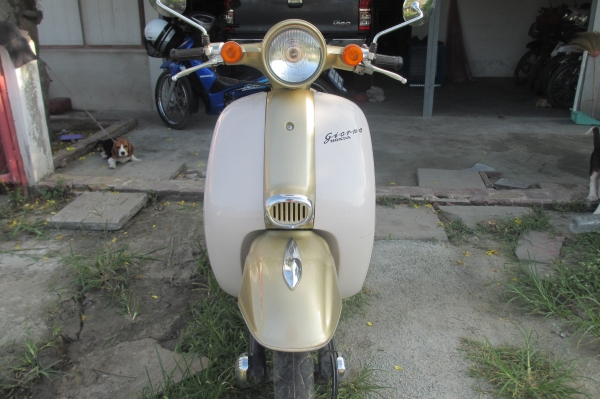 ขาย/แลก Giorno 50CC. เครื่องดีสีสวย (จัดส่งทั่วไทย) ขาย/แลก Giorno 50CC. เครื่องดีสีสวย (จัดส่งทั่วไทย)