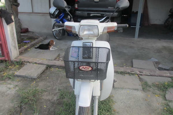 ขายดรีมคุรุสภาสีขาว มีเล่มทะเบียน+ชุดโอนภาษีขาดปี 55(จัดส่งทั่วไทย)