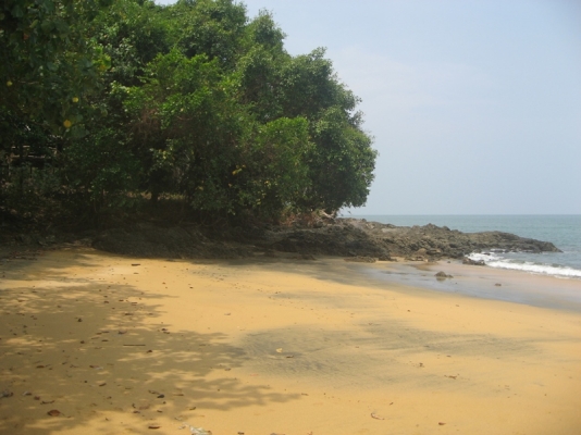 ขายรีสอร์ทเกาะช้างระนอง