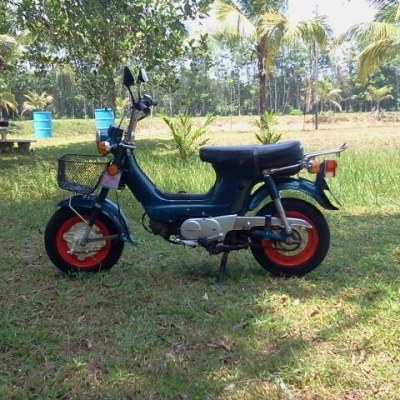 ขายชาลีไฟบนทะเบียนแท้พร้อมโอน